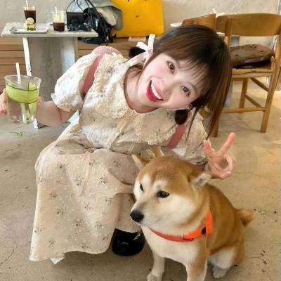 欧美热映