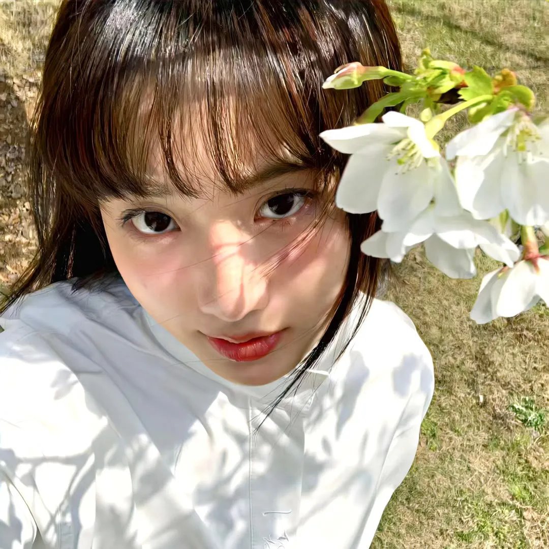 查理的约会